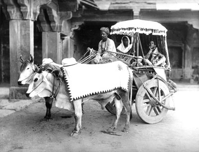 Ochsenkarren, Indien, ca. 1907 von English Photographer